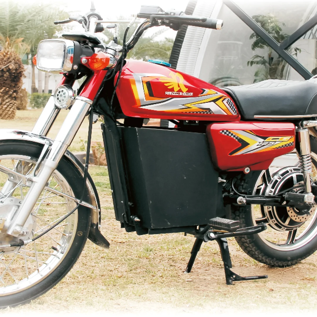 RANZO EV BIKE – 1.5 KW